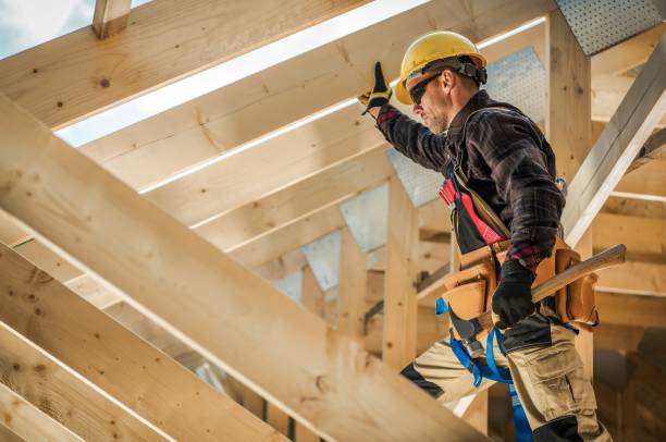 Best Roof Gutter Cleaning  in Clarkesville, GA